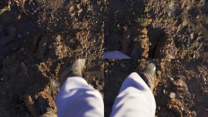 泥泞靴子的俯视图。远足靴的特写镜头和爬上岩石小径的腿，肮脏的靴子。徒步旅行者在森林小径上穿泥泞的靴子