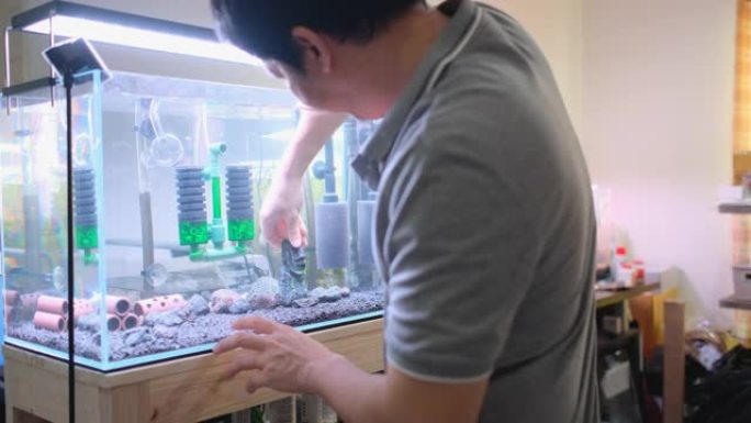亚洲男子在水族馆水箱中移动装饰，并将过滤器粘在里面以稳定
