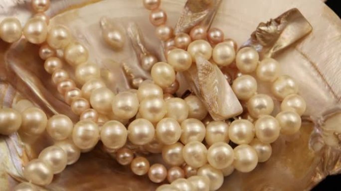 珍珠母珠躺在珍珠母壳上