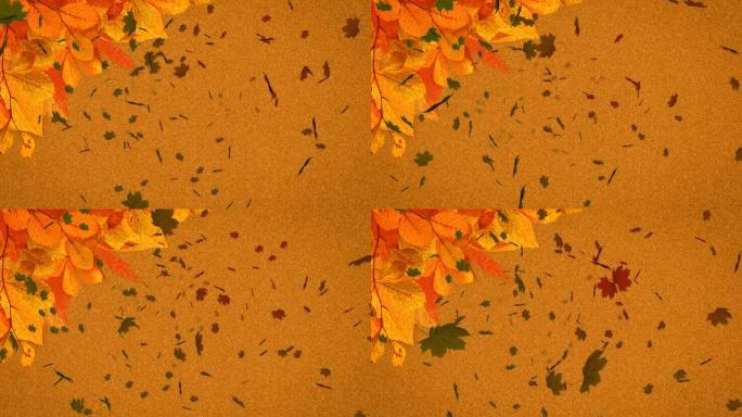 多片秋叶落在橙色背景上的动画