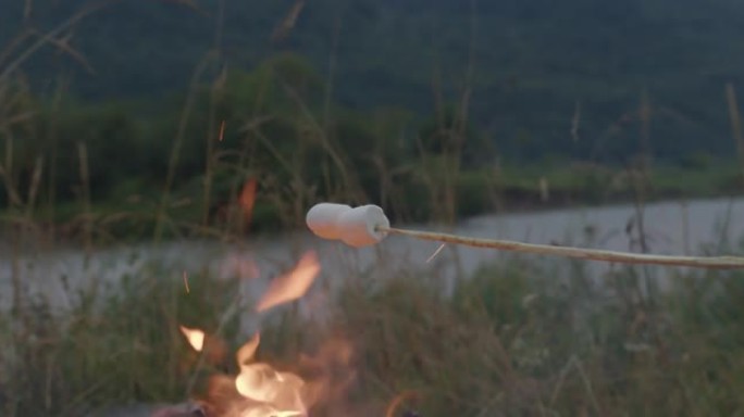 木棍上的棉花糖关闭火