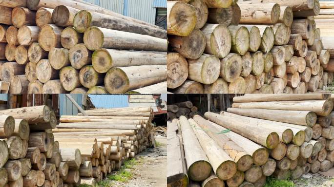 木材木料木材加工树木森林木头木材市场