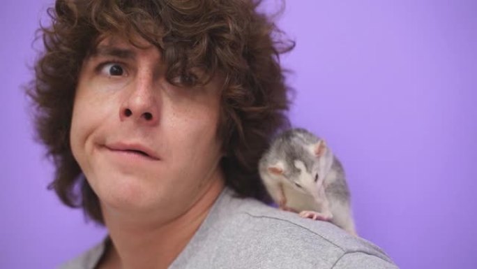 在孤立的紫色工作室背景下，一个年轻男子与一只宠物鼠的特写镜头