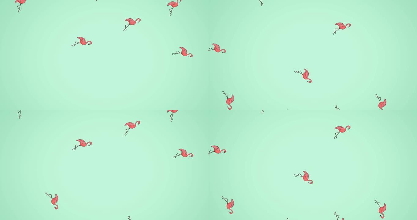 火烈鸟在绿色背景上移动的动画