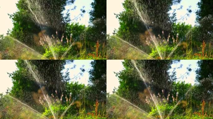花园草浇水。智能花园通过在绿色公园工作的全自动喷灌系统启动。草灌溉。花园灌溉洒水草坪。