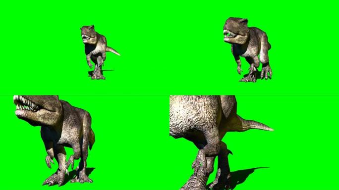 在绿色屏幕上行走的巨型恐龙