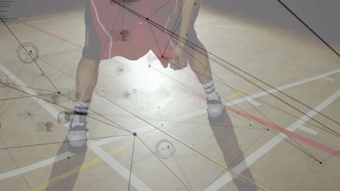 健身房篮球运动员的联系网络动画