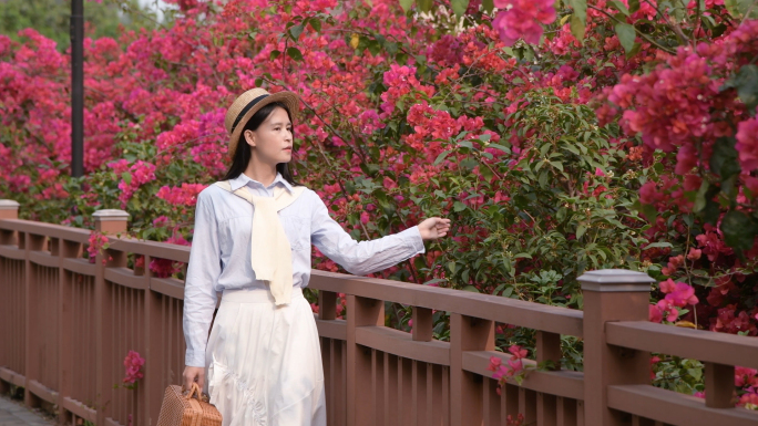 4K少女与勒杜鹃三角梅花海