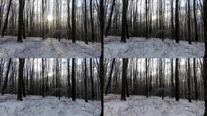时间流逝冬季景观山森林晴天