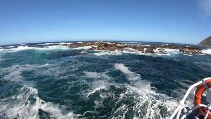 为南非开普敦附近的海豹岛拍照的游客乘船游览