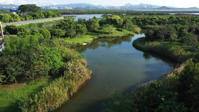 深圳福田红树林生态公园