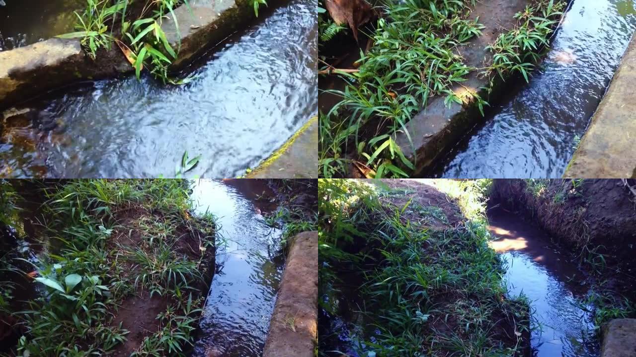 自然观灌溉水流通道穿过村庄的稻田