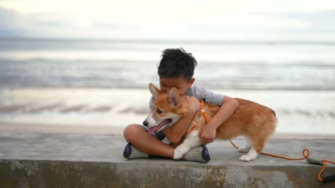 亚洲孩子和狗柯基犬一起在海滩散步。友谊和假期的概念