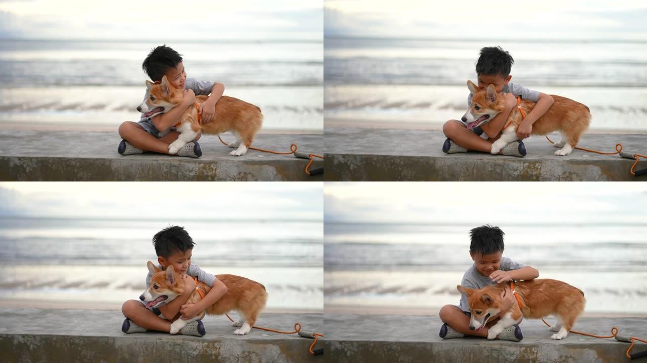 亚洲孩子和狗柯基犬一起在海滩散步。友谊和假期的概念