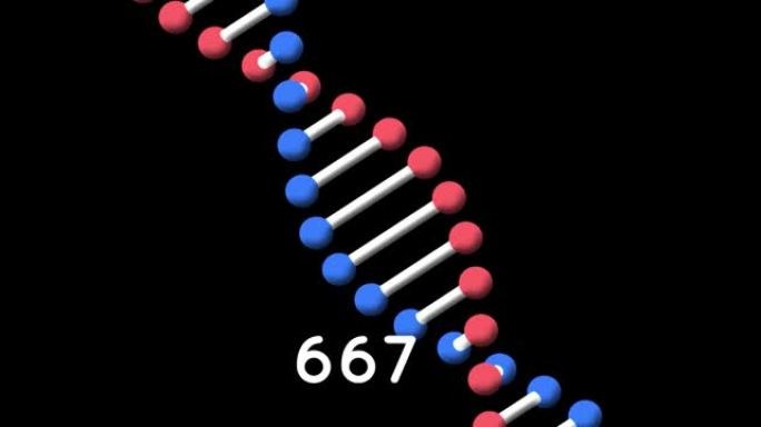 在黑色背景下旋转的dna结构上不断增加的数字动画