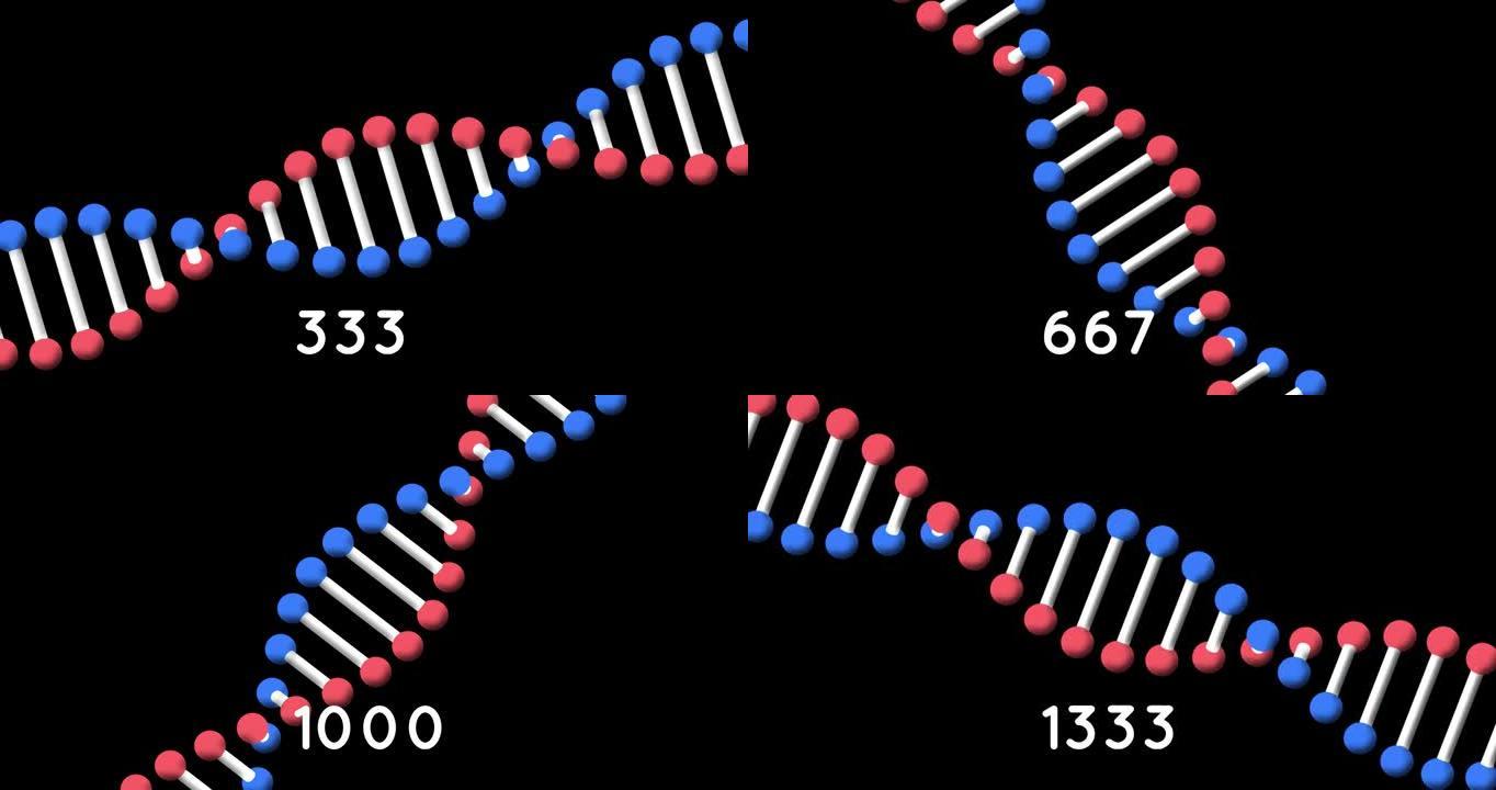在黑色背景下旋转的dna结构上不断增加的数字动画