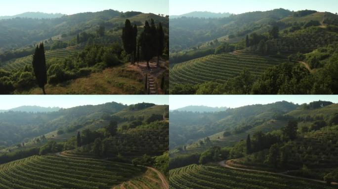 意大利波谷一座田园诗般的阶梯状小山的鸟瞰图。
