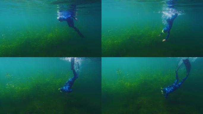 湖自由潜水。女人在图尔戈亚克 (Turgoyak) 的淡水湖水下潜水，并享受着绿色杂草的海底世界