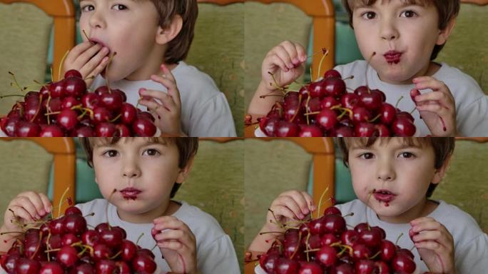 快乐男孩吃有机天然健康樱桃。健康饮食。小男孩喜欢吃甜樱桃。从有机花园新鲜收获樱桃浆果。健康的生活方式