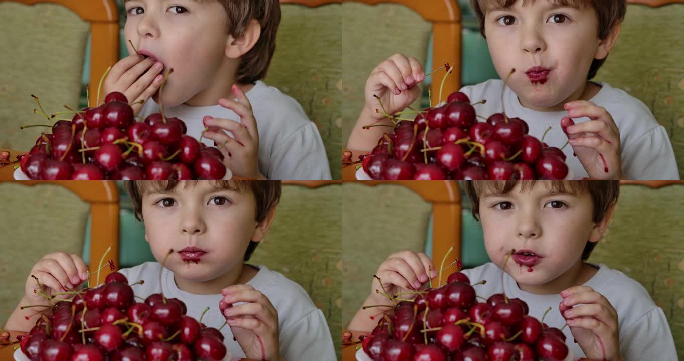 快乐男孩吃有机天然健康樱桃。健康饮食。小男孩喜欢吃甜樱桃。从有机花园新鲜收获樱桃浆果。健康的生活方式