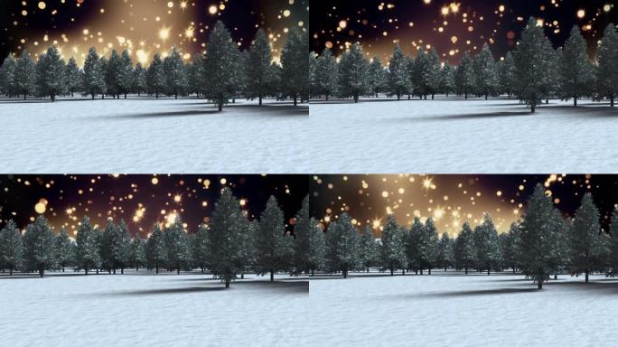 冬景中枞树上发光光点的动画