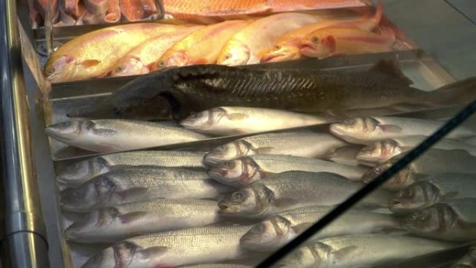 超市冷藏柜台上的新鲜冷藏生海鱼。食物，海鲜，购买