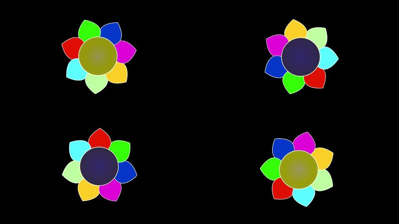 具有七个多色花瓣和变化的核心的花在黑色背景上进动旋转，循环