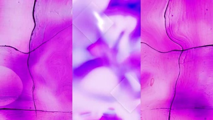 垂直屏幕上起伏的紫色液体动画，过度移动破裂的粉红色模糊