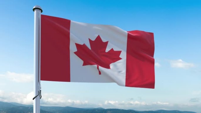 加拿大国旗在阳光明媚的日子以慢动作挥舞，加拿大国旗4K的广角拍摄，视频元素