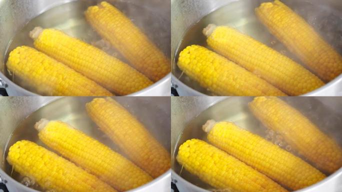 用热水煮玉米的锅特写。在沸水中放入新鲜玉米的黄色玉米棒。视频4k分辨率