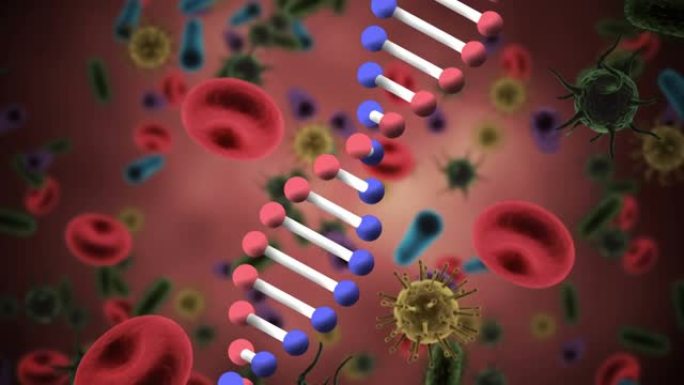 dna结构在多个新型冠状病毒肺炎细胞和血管上旋转的数字动画