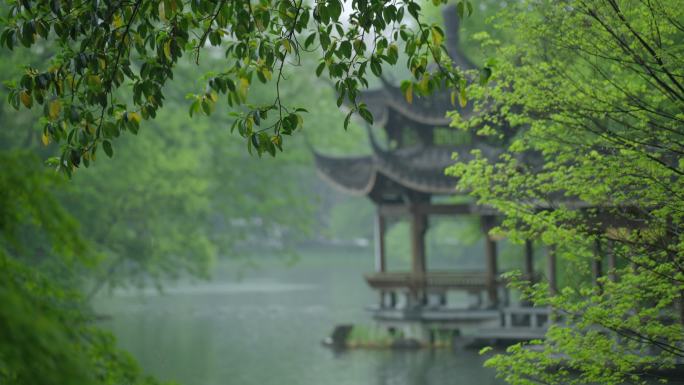 春天杭州乌龟潭阴雨天古建筑植物绿色自然