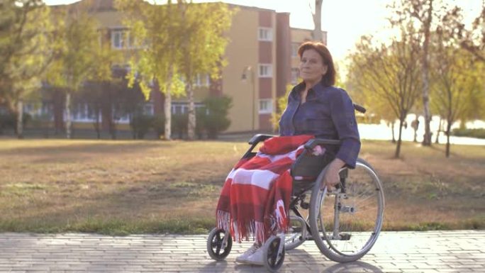 女人坐在公园的轮椅上