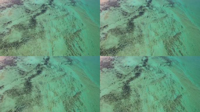 西澳大利亚州哈梅林湾叠层石的航拍视频。