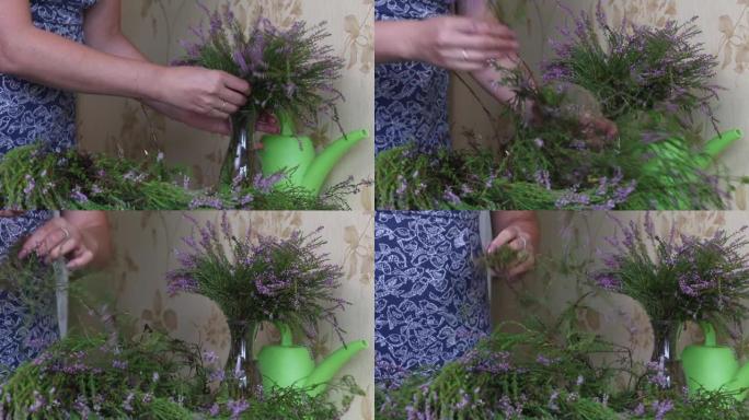 女人整理森林石南的树枝。将它们收集在花束中，然后放入花瓶中。特写镜头。