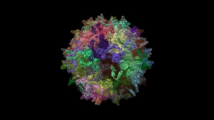 腺相关病毒7 (AAV7) 衣壳的结构