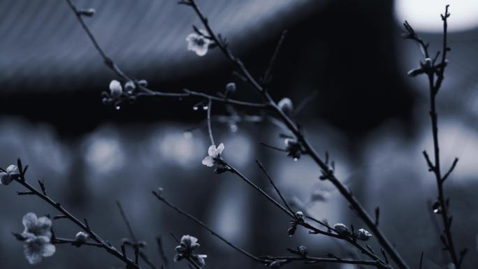 雨天古风  黑白