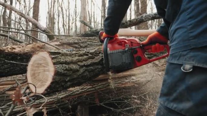伐木工人锯掉了砍伐的树干，特写镜头