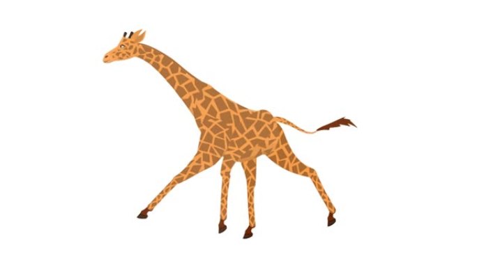 长颈鹿。动物长颈鹿的动画。卡通