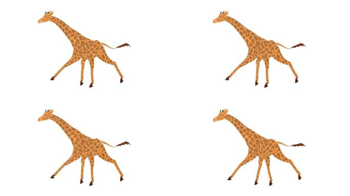 长颈鹿。动物长颈鹿的动画。卡通