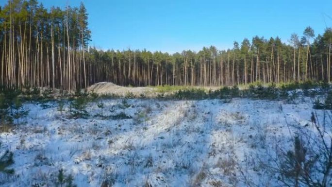 在美丽的冬季冷杉森林中，空中运动在飘落的雪中。4k无人机镜头。