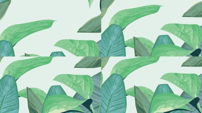 绿色背景上热带植物叶子的动画