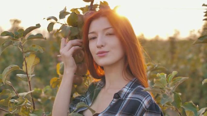 日落时苹果园里的红发女人