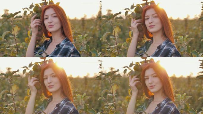 日落时苹果园里的红发女人