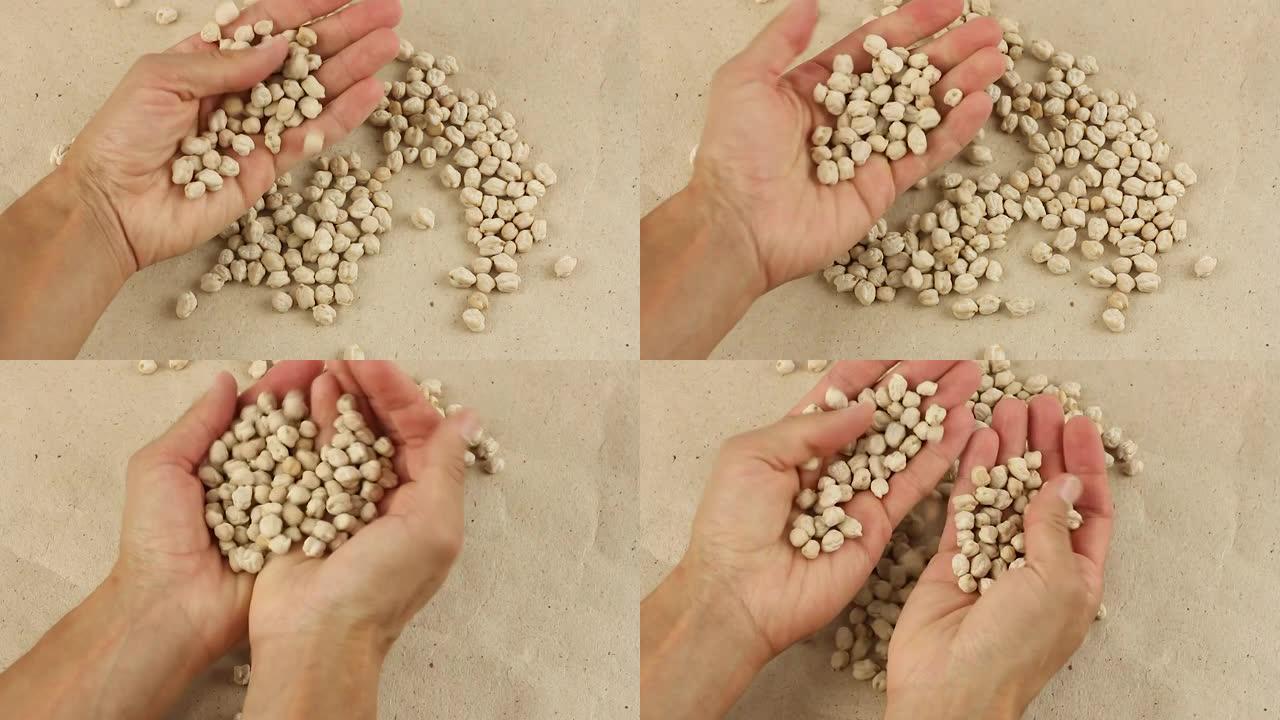 手拿起棕榈中的鹰嘴豆种子并将其分类，干鹰嘴豆在工艺纸上，俯视图特写，素食主义者或素食主义者的良好植物