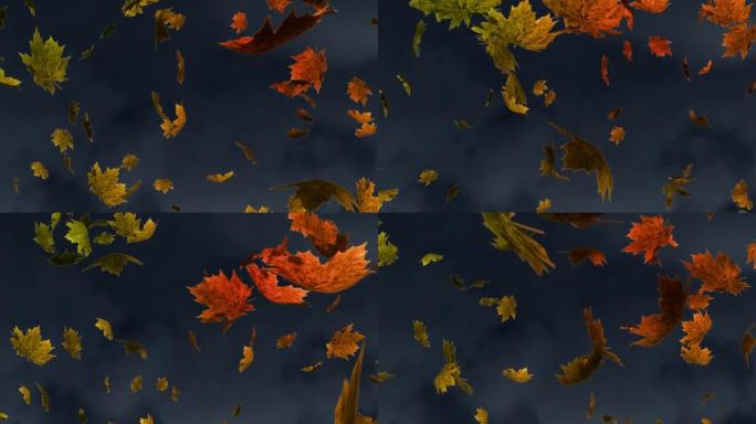 多片秋天枫叶落在纹理灰色背景下的数字动画
