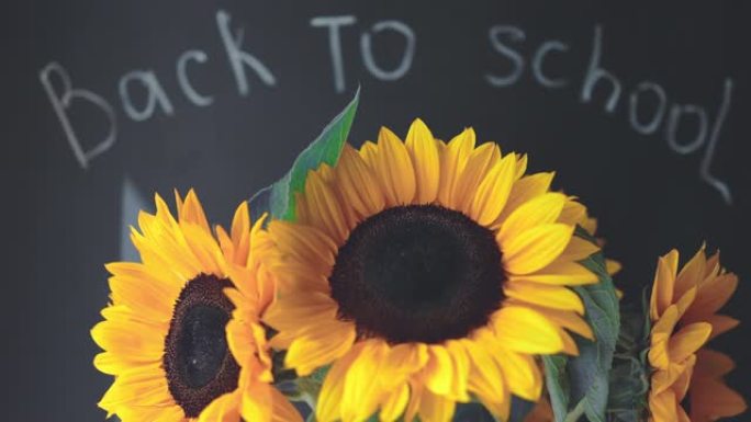 回到学校，黑色黑板和黄色向日葵前面的单词