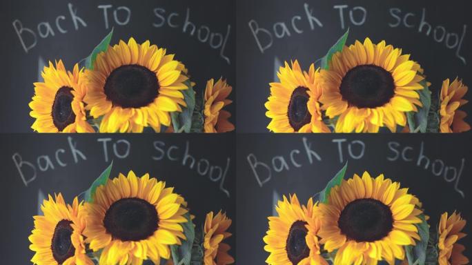 回到学校，黑色黑板和黄色向日葵前面的单词