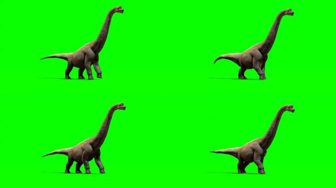 在绿色屏幕上行走的雷龙恐龙