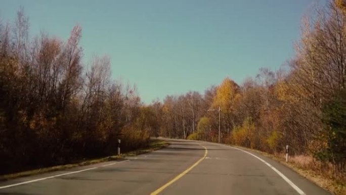 秋天穿越森林的公路旅行